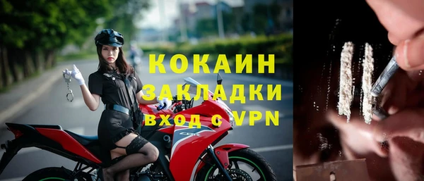 дмт Абаза