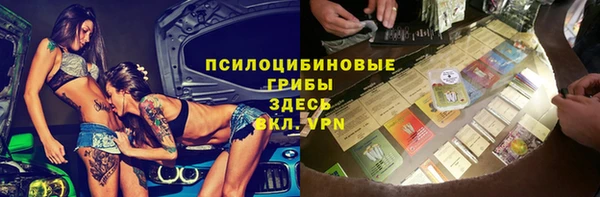 дмт Абаза