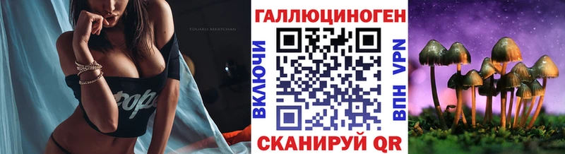 Галлюциногенные грибы Psilocybe  купить   Лебедянь 